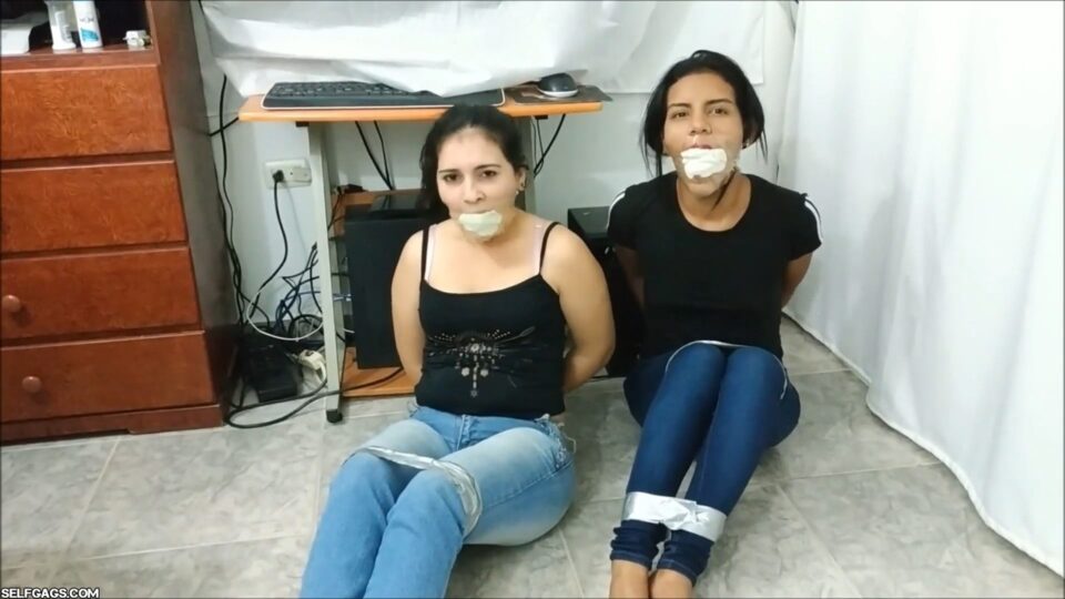 Bind And Gag Your Mocking Step-Sisters! — gallery-3