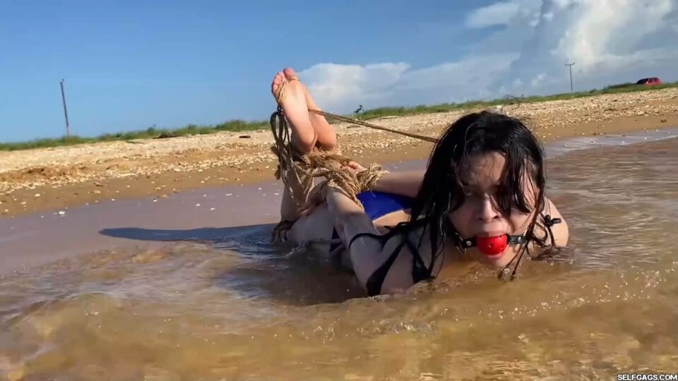 Hogtied In The Shallows — gallery-5