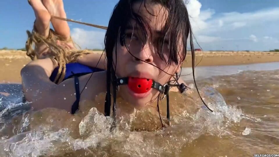 Hogtied In The Shallows — gallery-7
