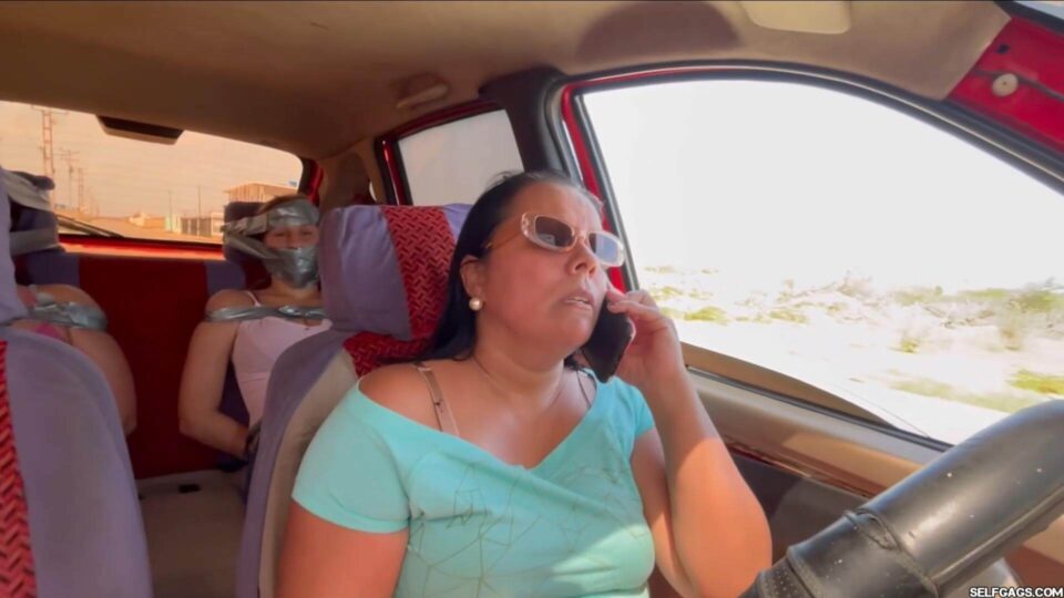 Silly Troublemakers Silenced in the Backseat — gallery-6