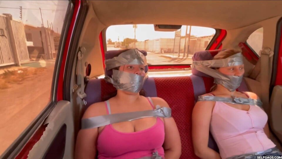 Silly Troublemakers Silenced in the Backseat — gallery-7