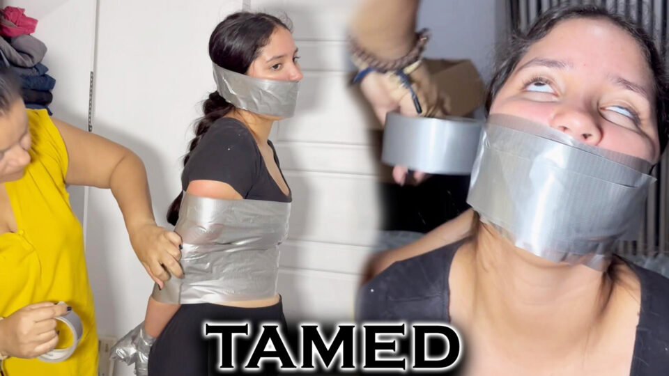 Tamed By Duct Tape — gallery-1