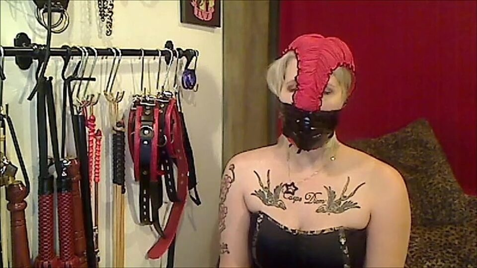 The Panty Gagged Dominatrix (Episode 1 of 2) — gallery-6