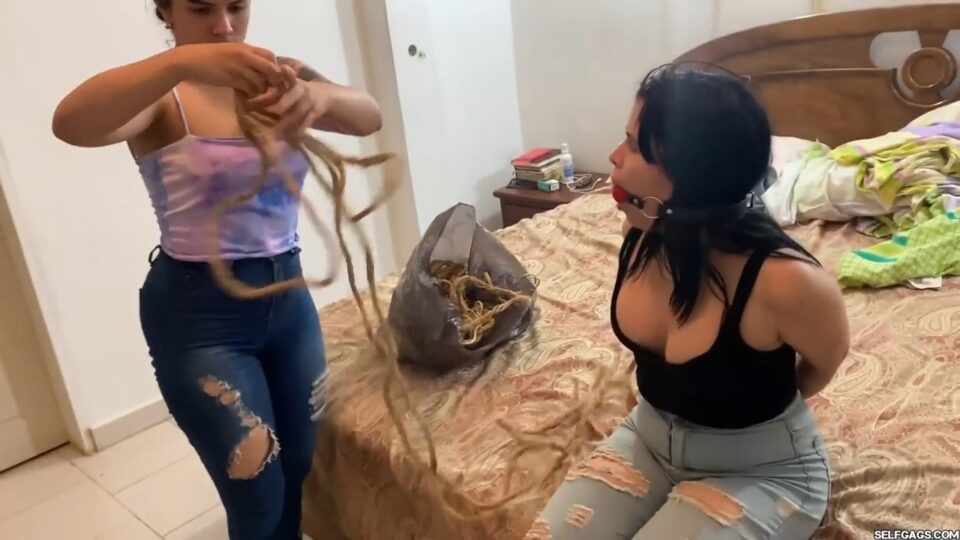 Tie Me Up And Gag Me So I Won’t Tell About Your Secret Bondage Toys — gallery-3